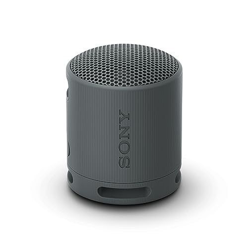 Sony SRS-XB100 - Kabelloser Bluetooth-Lautsprecher, tragbar, leicht, kompakt, Outdoor, Reise, langlebig, IP67 wasser- und staubdicht, 16 Std Akku, Trageriemen, Freisprechfunktion, schwarz