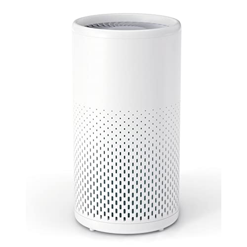 Meross WLAN Luftreiniger für Allergiker mit H13 HEPA Luftfilter Funktioniert mit Apple HomeKit, 24dB Raumluftreiniger gegen 99,97% von Staub Pollen Gerüche, CADR 160m³/Std bis zu 19m² Air Purifier