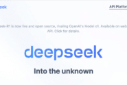 DeepSeek R1